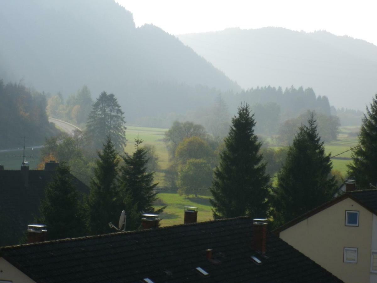 Appartamento Urseetalblick Wg 7 Lenzkirch Esterno foto