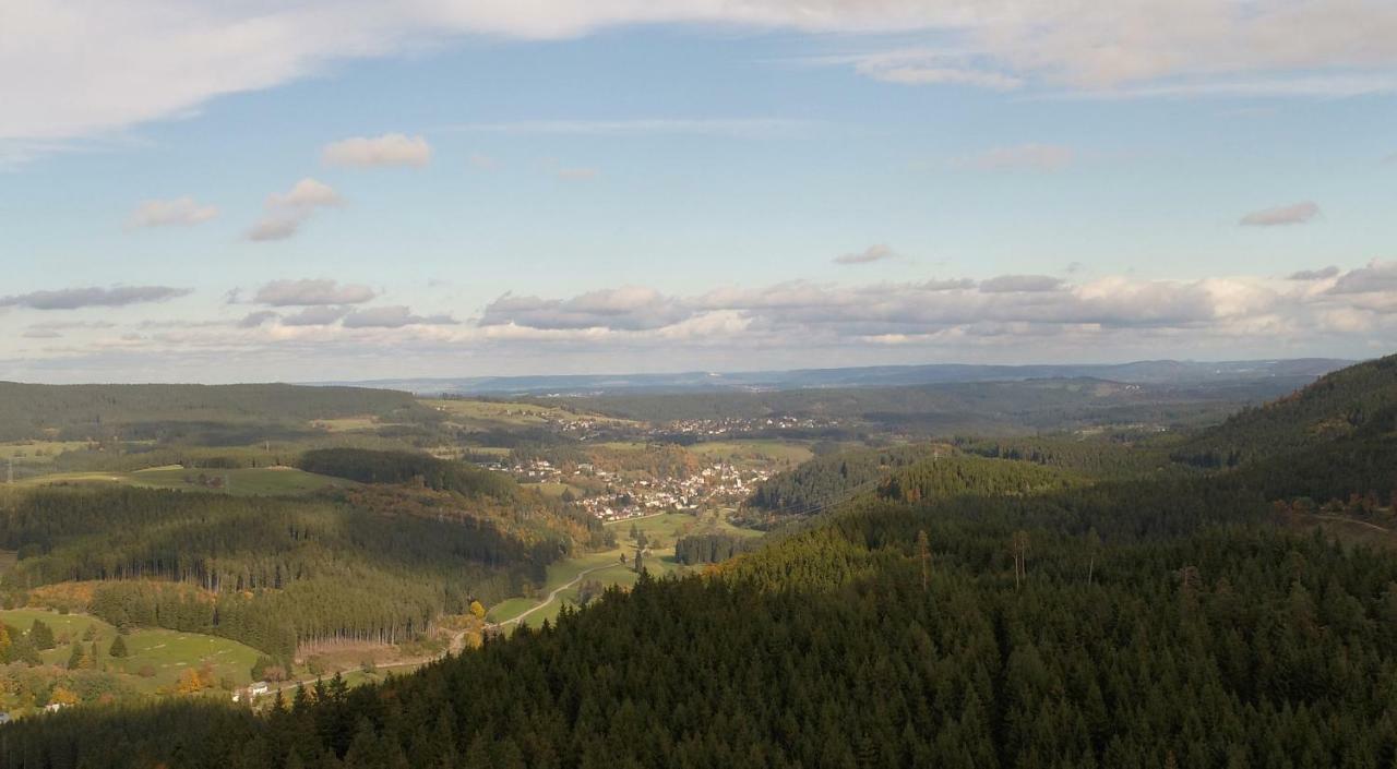 Appartamento Urseetalblick Wg 7 Lenzkirch Esterno foto
